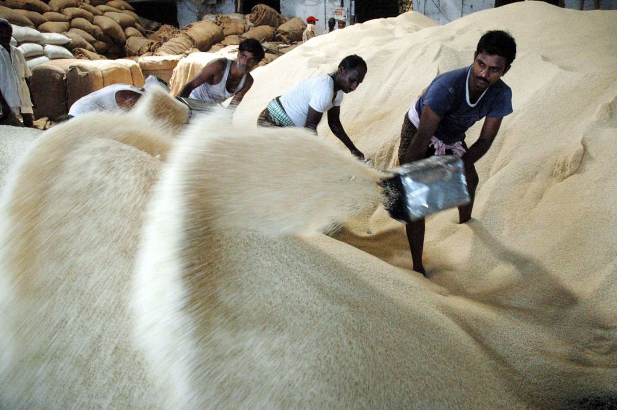 India cuts floor price for basmati rice exports
