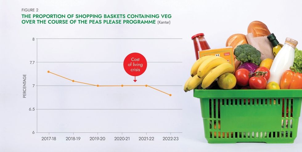 A shopping basket full of foodDescription automatically generated