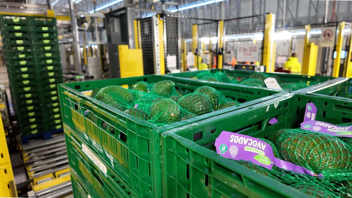 Aldi's Bardon Distribution Centre