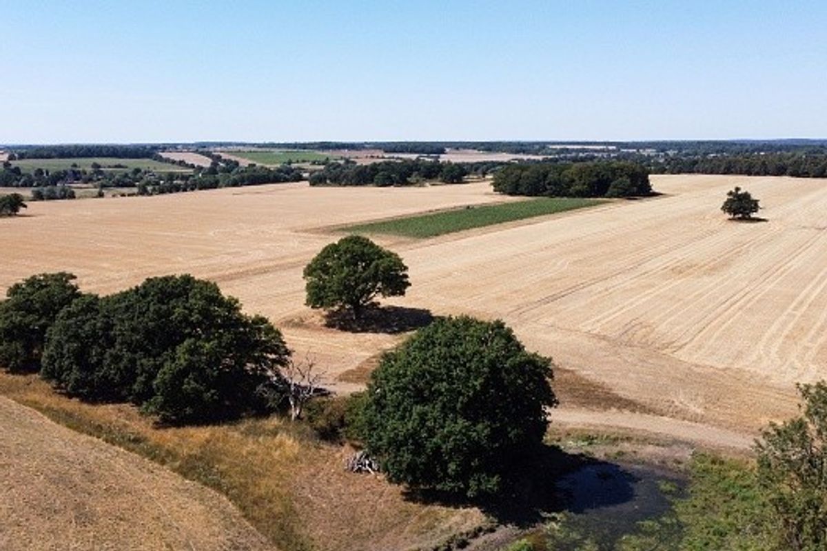 Fear of mass crop failures as farmers demand hosepipe bans