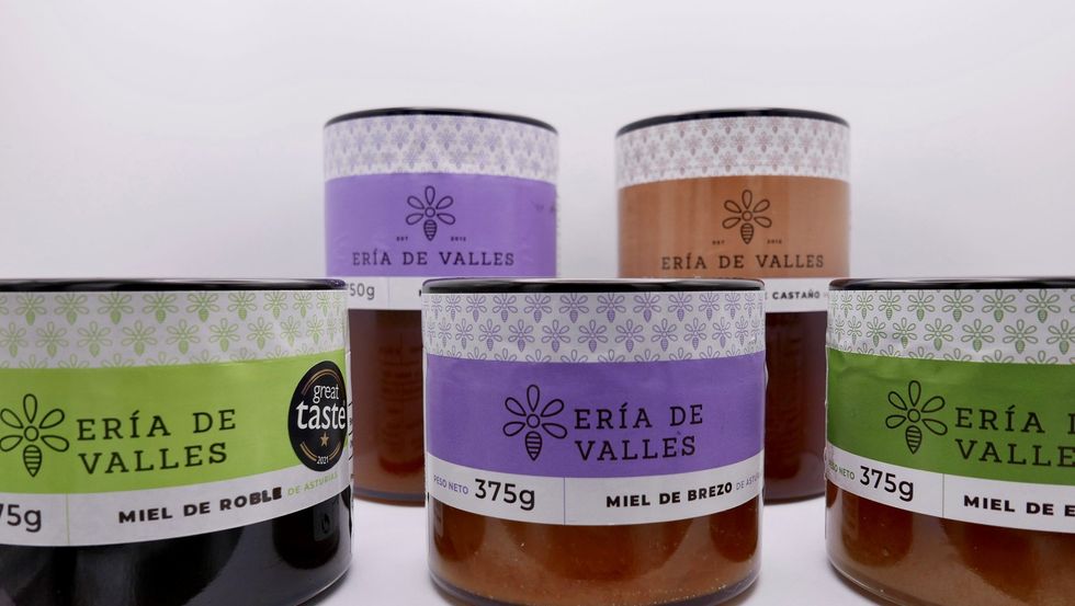 Asturias Honey scaled
