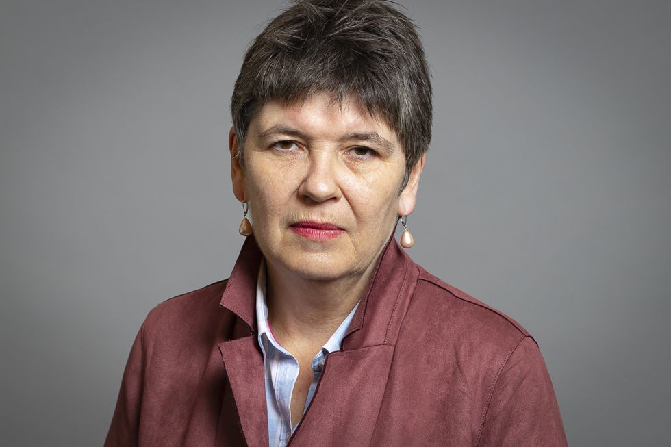 Baroness Fox in UK Parliament debates vape ban and health impact of disposable vapes