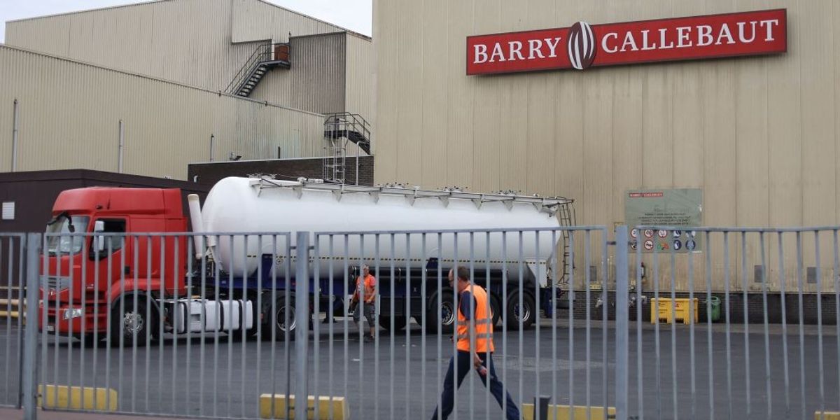 Barry Callebaut Signals Recovery in Chocolate Demand