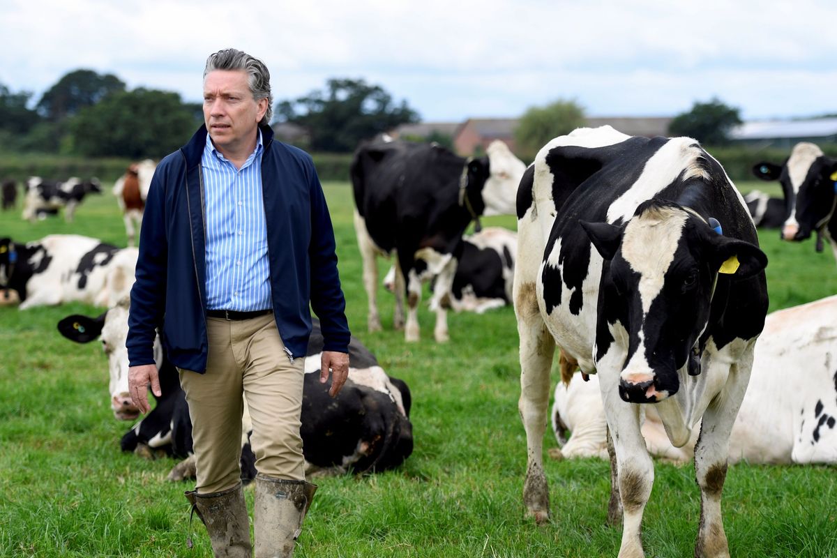 Bas Padberg, Arla Foods UK managing director, at a dairy farm