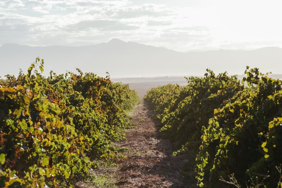 BolandCellar Day3 JenniElizabeth 34