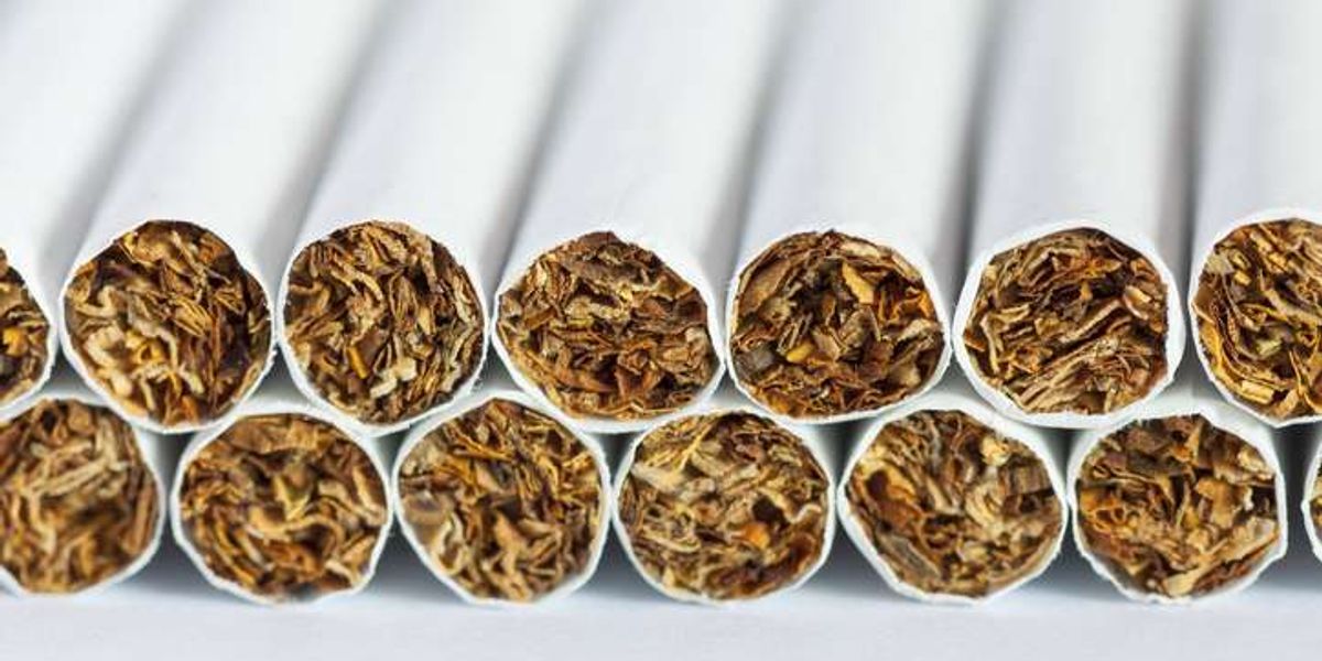 Bradford West exposed as illegal tobacco hotspot