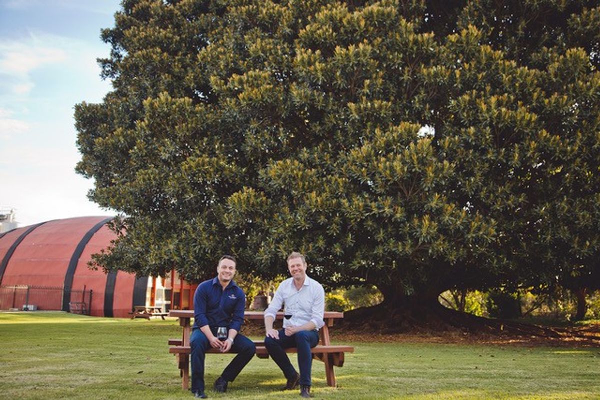 Brand Phoenix secures UK distribution of McWilliam’s Wines