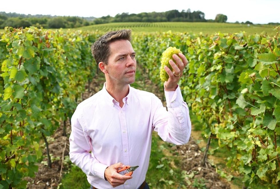 BRITAIN CLIMATE VINEYARD HOSPITALITY 2