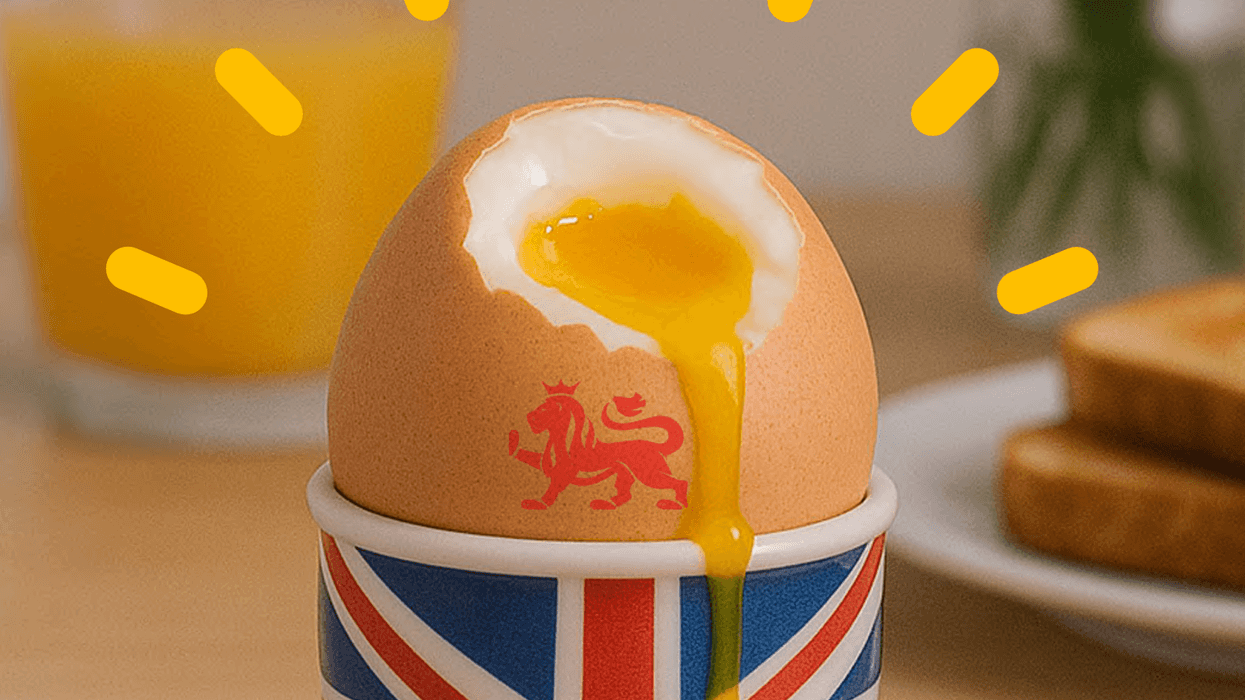 british egg industry council