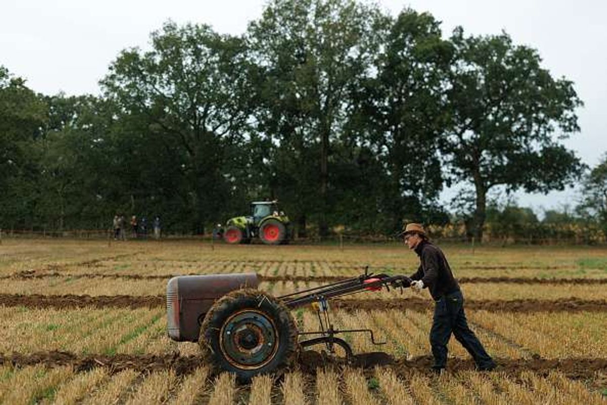 British farmers Farmdex report McCain 2025