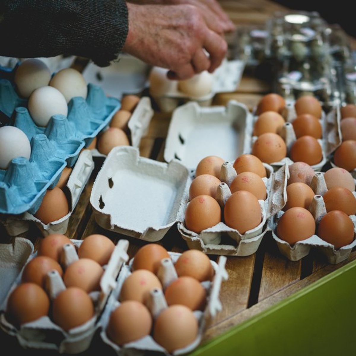 Campaign urges UK food companies to stop using imported eggs and back British farmers