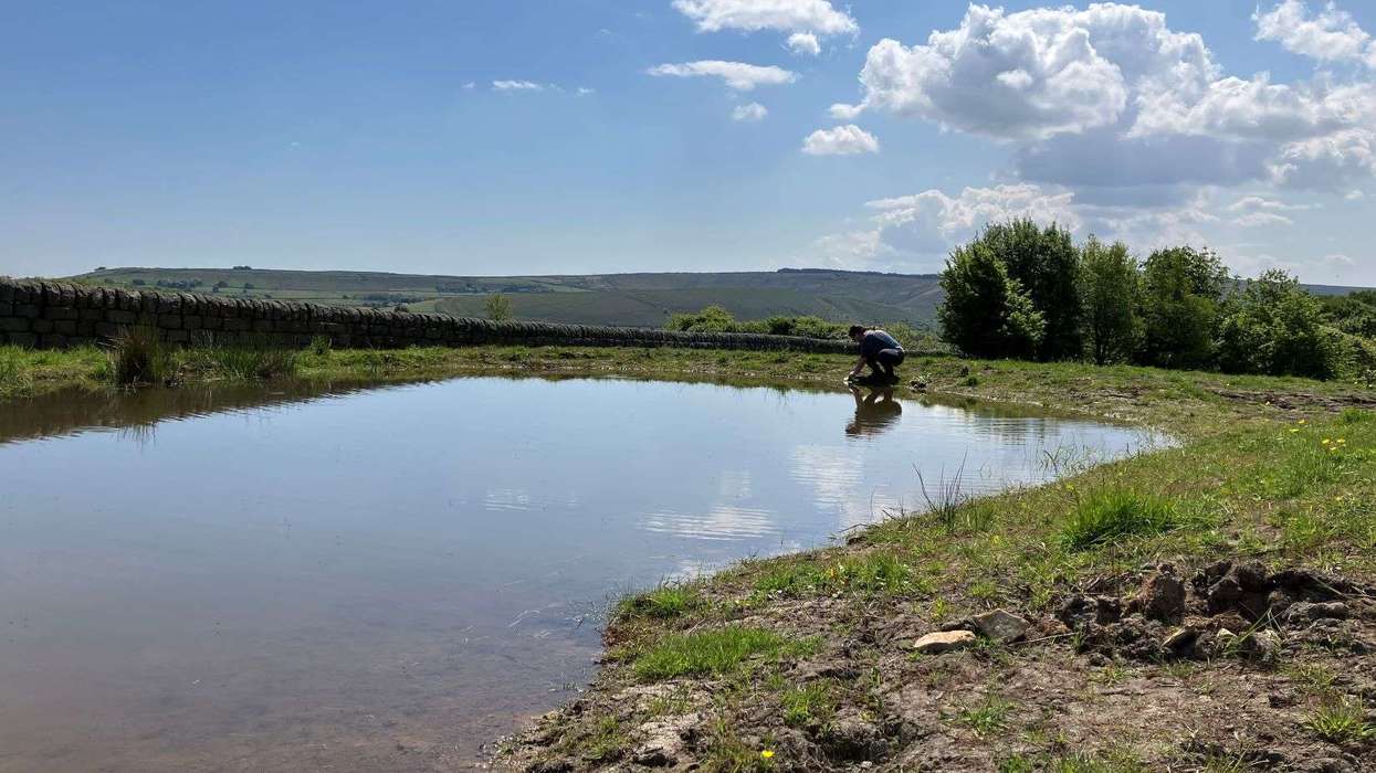 CCEP, Coca-Cola pledge £2.5m to Yorkshire water replenishment