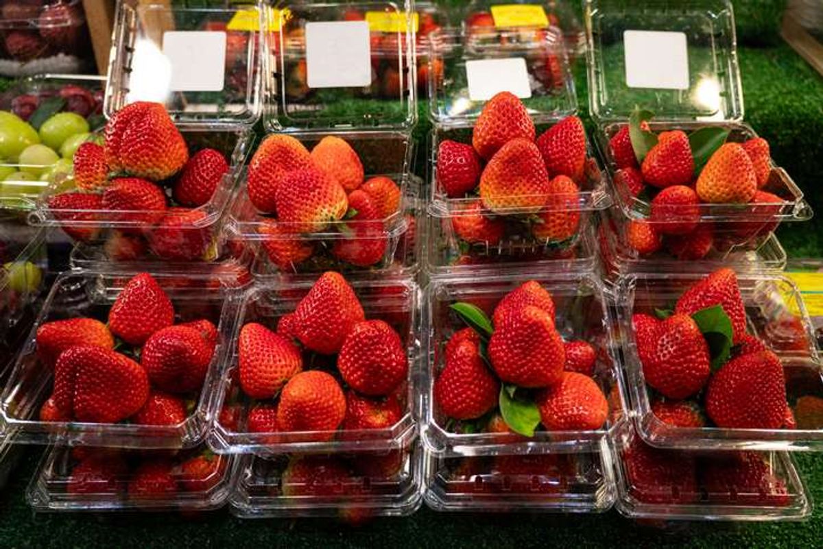 Co-op British strawberries exclusive stock