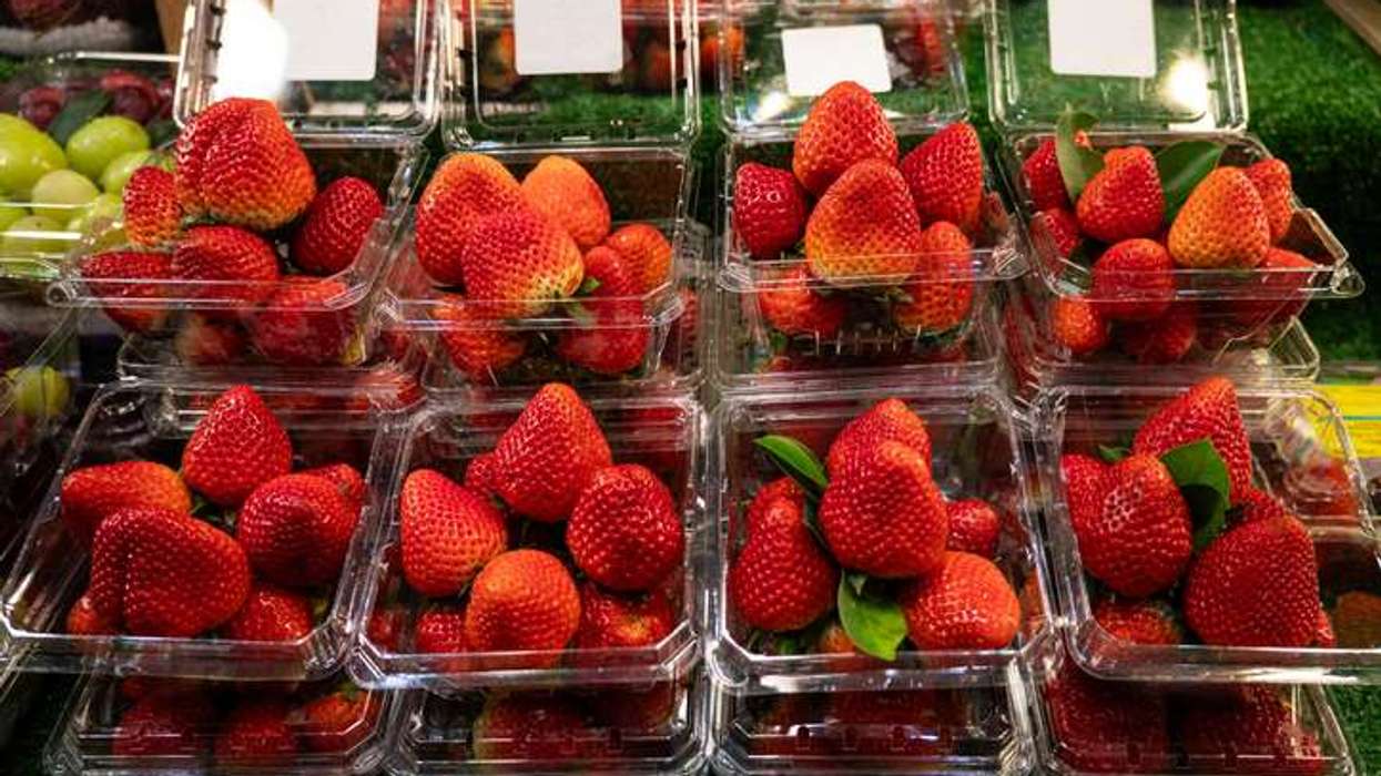 Co-op British strawberries exclusive stock
