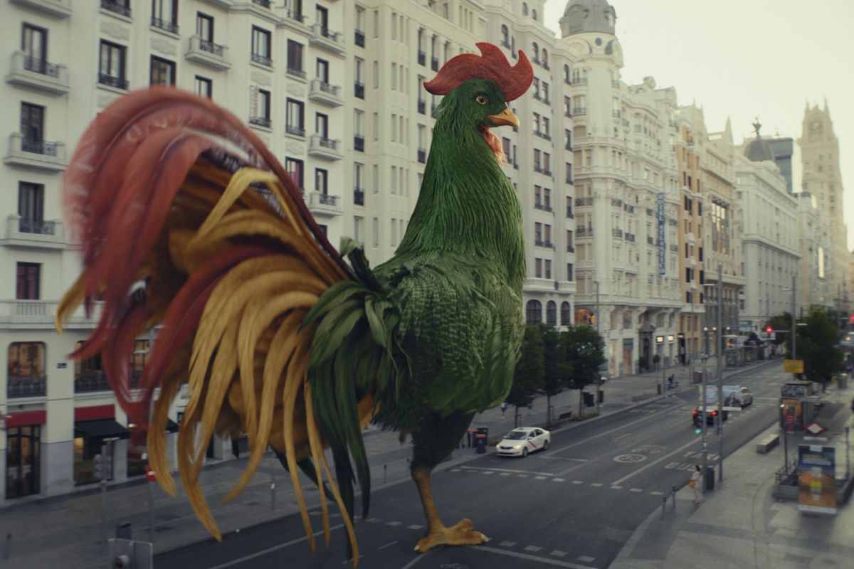 Cornelius the Cockerel