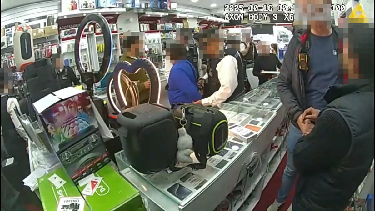 crackdown on organised shoplifting gangs