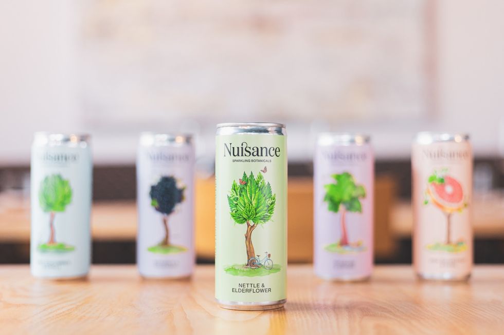 Damson & Dandelion tonic