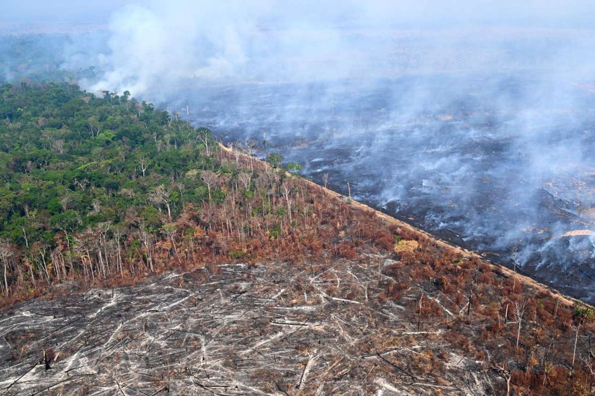 deforestation