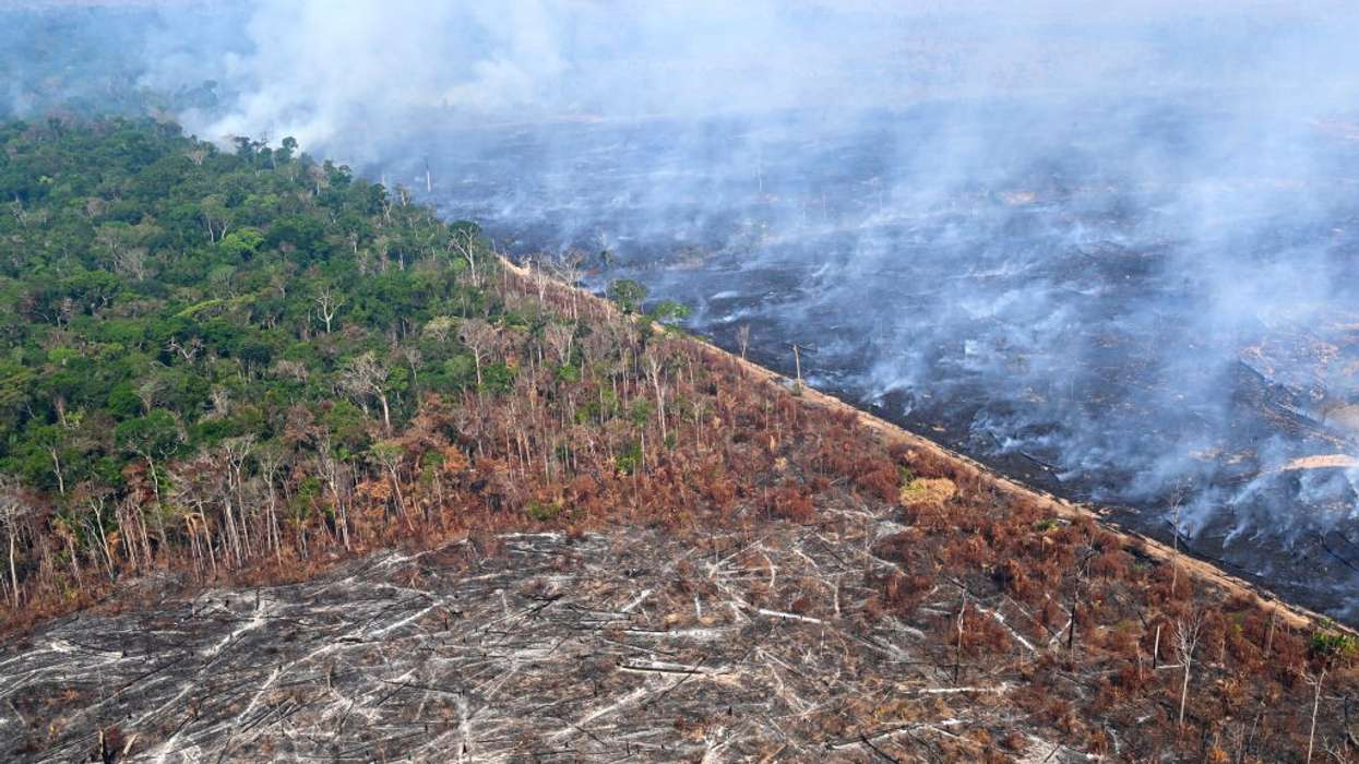 deforestation