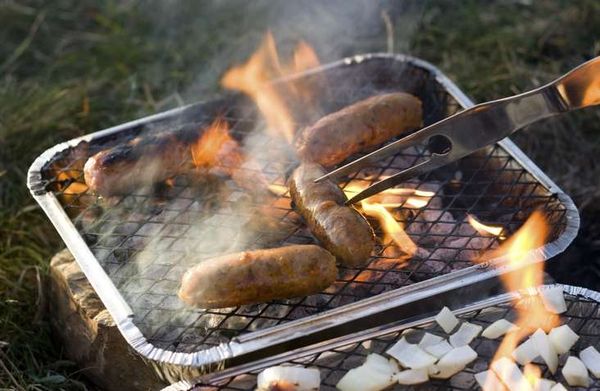 disposable bbq ban