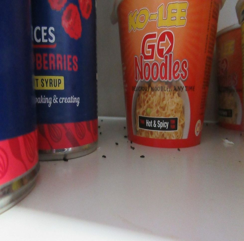 droppings on shelving 2