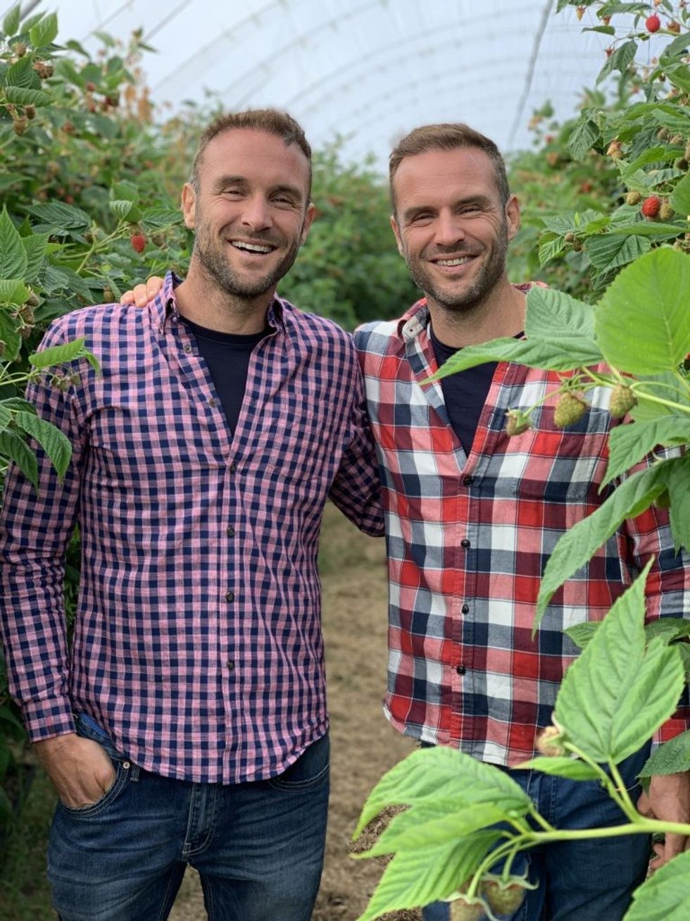 DS nice one Raspberries 3