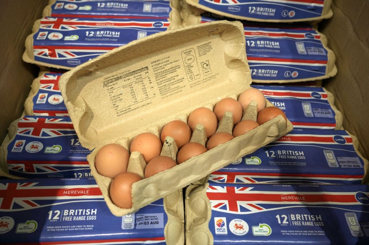 Tesco and Aldi provide extra £26.4m to support British egg industry