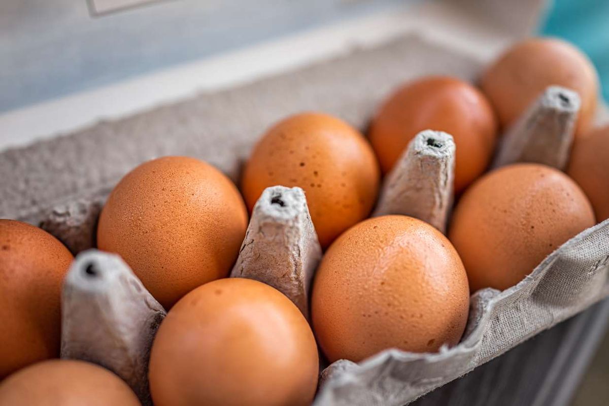 eggs