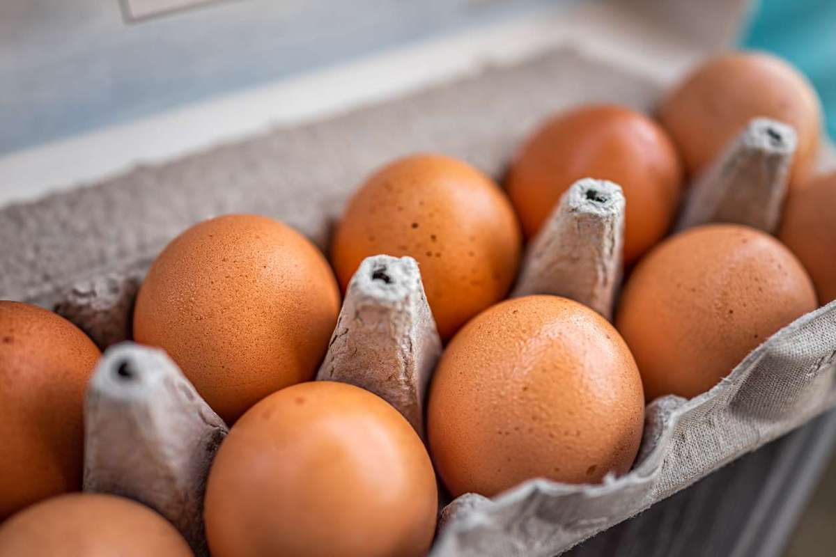 eggs