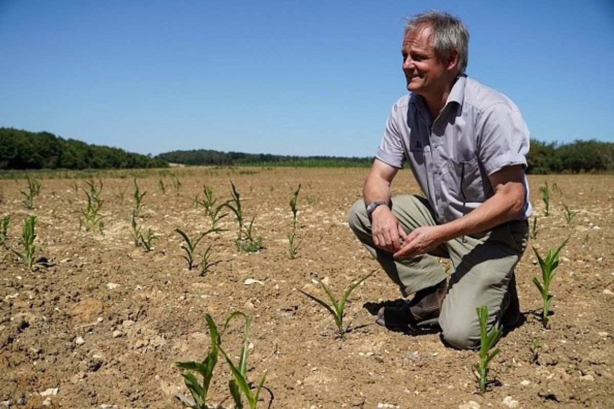 Heatflation: Britain on brink of vegetable shortage amid record-breaking temperature