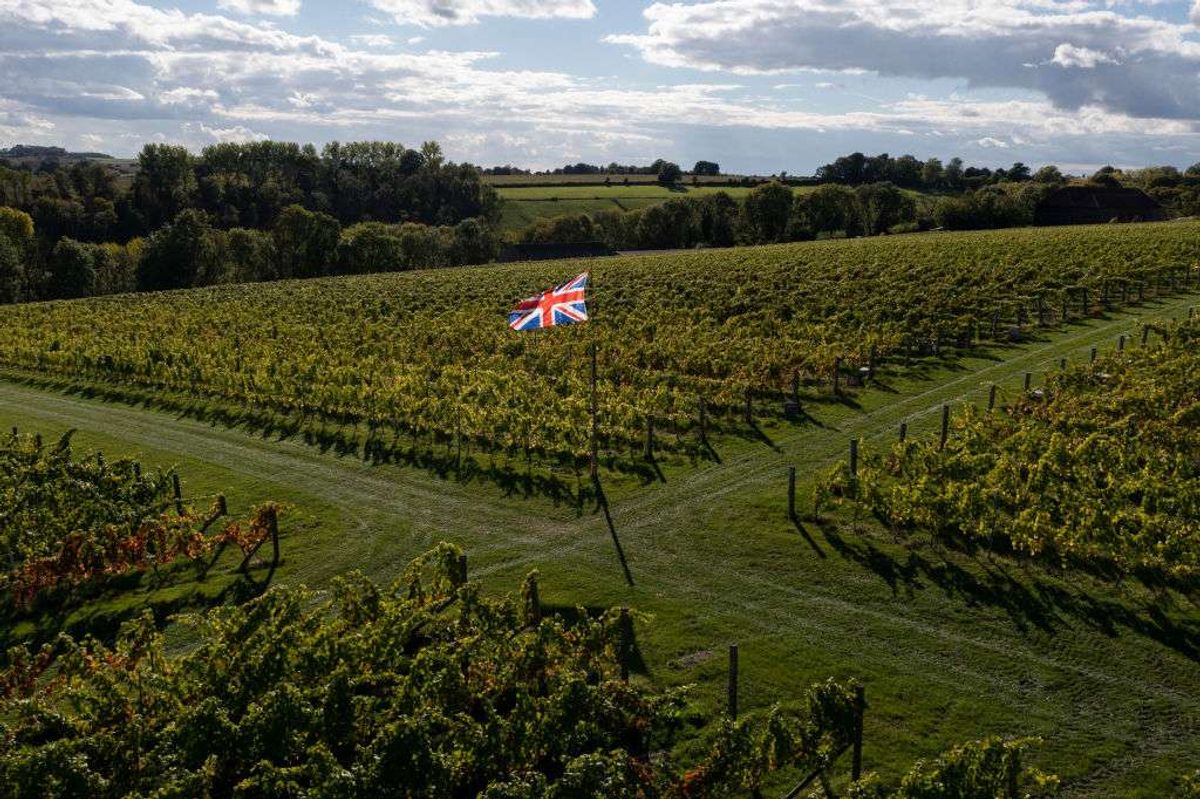 Exton Park vineyard in Southampton