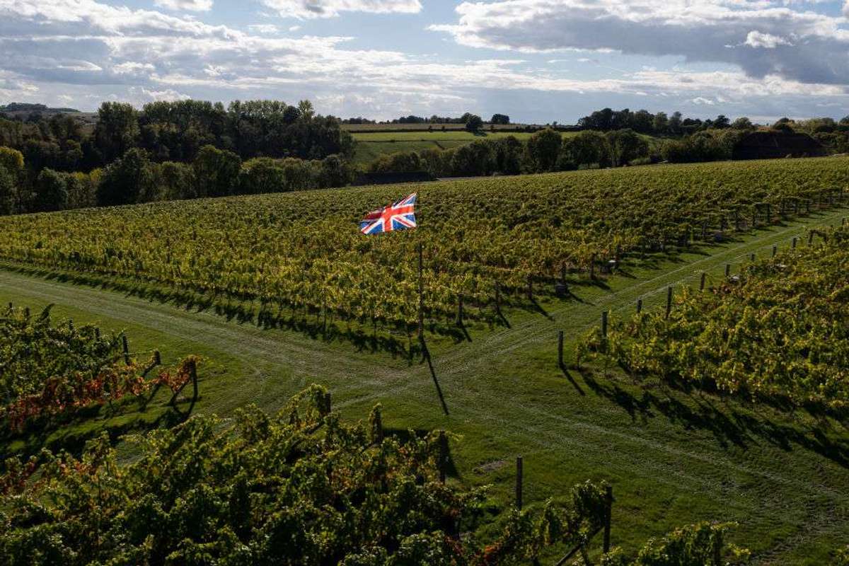 Exton Park vineyard in Southampton