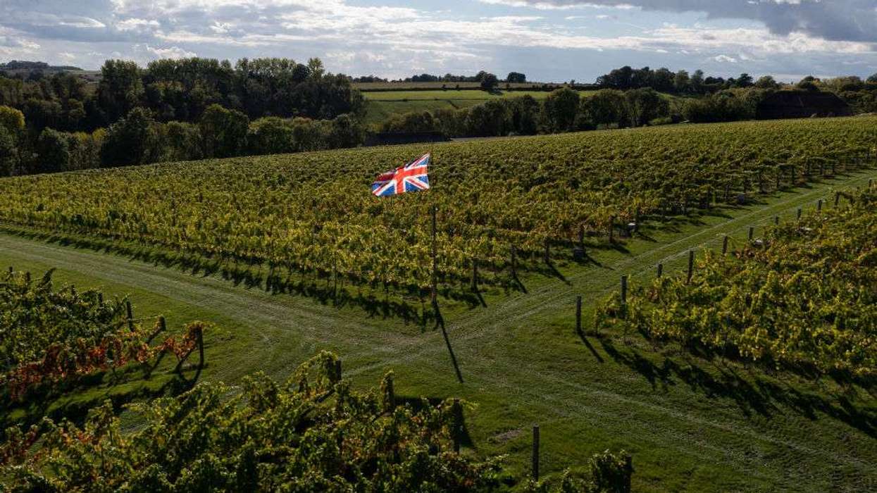 Exton Park vineyard in Southampton