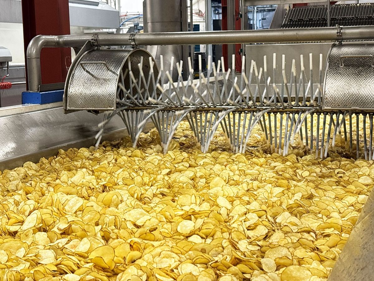 Fairfields Farm industrial fryer in action, processing golden crisps during factory expansion