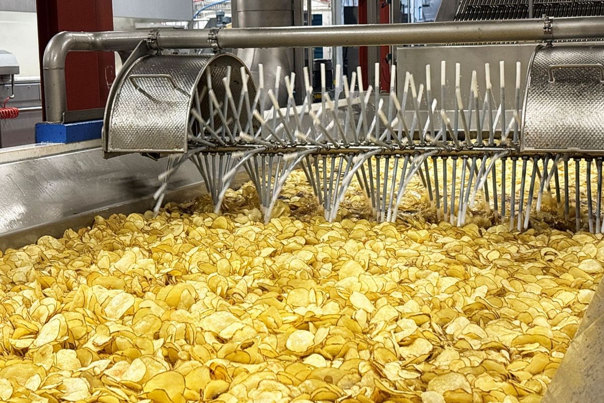 Fairfields Farm industrial fryer in action, processing golden crisps during factory expansion