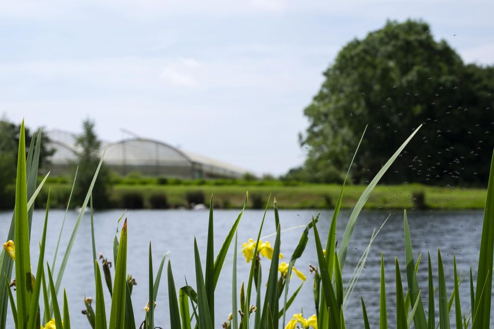 Florette ColchesterFarm NatureSanctuary 1 scaled