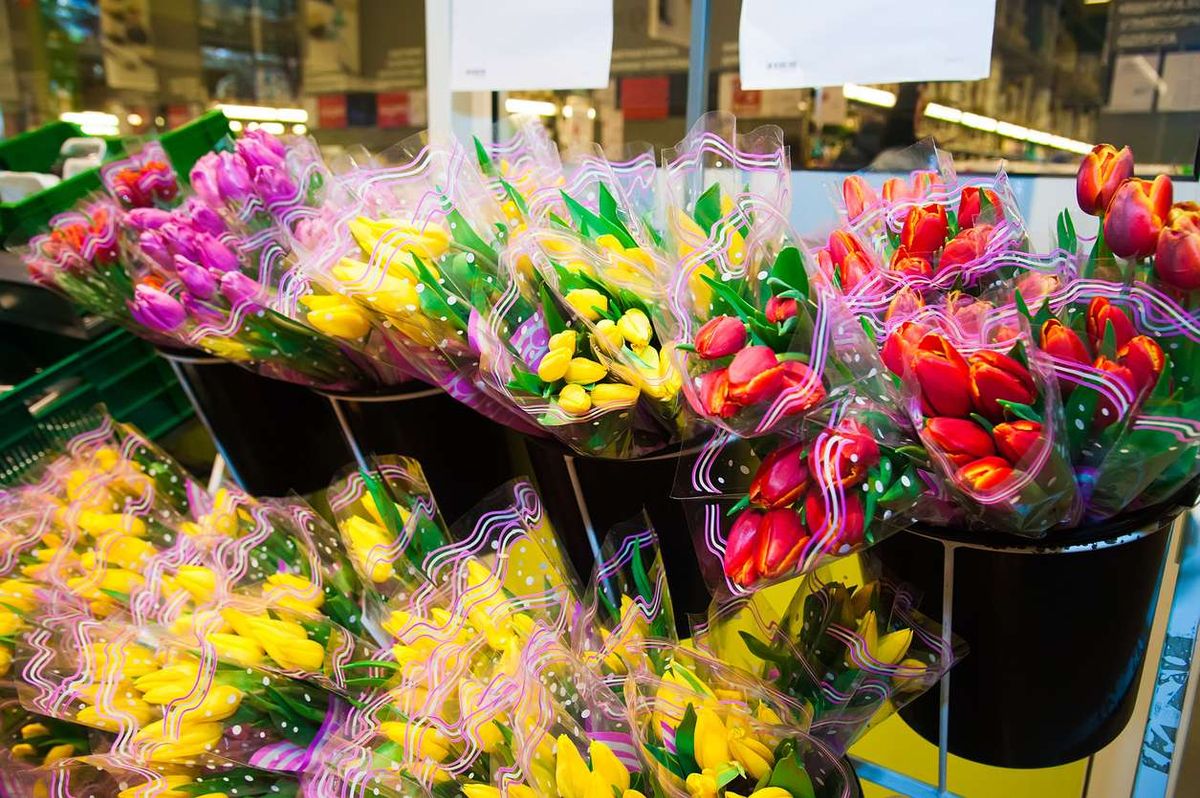 Flowers on sale in a supermarket
