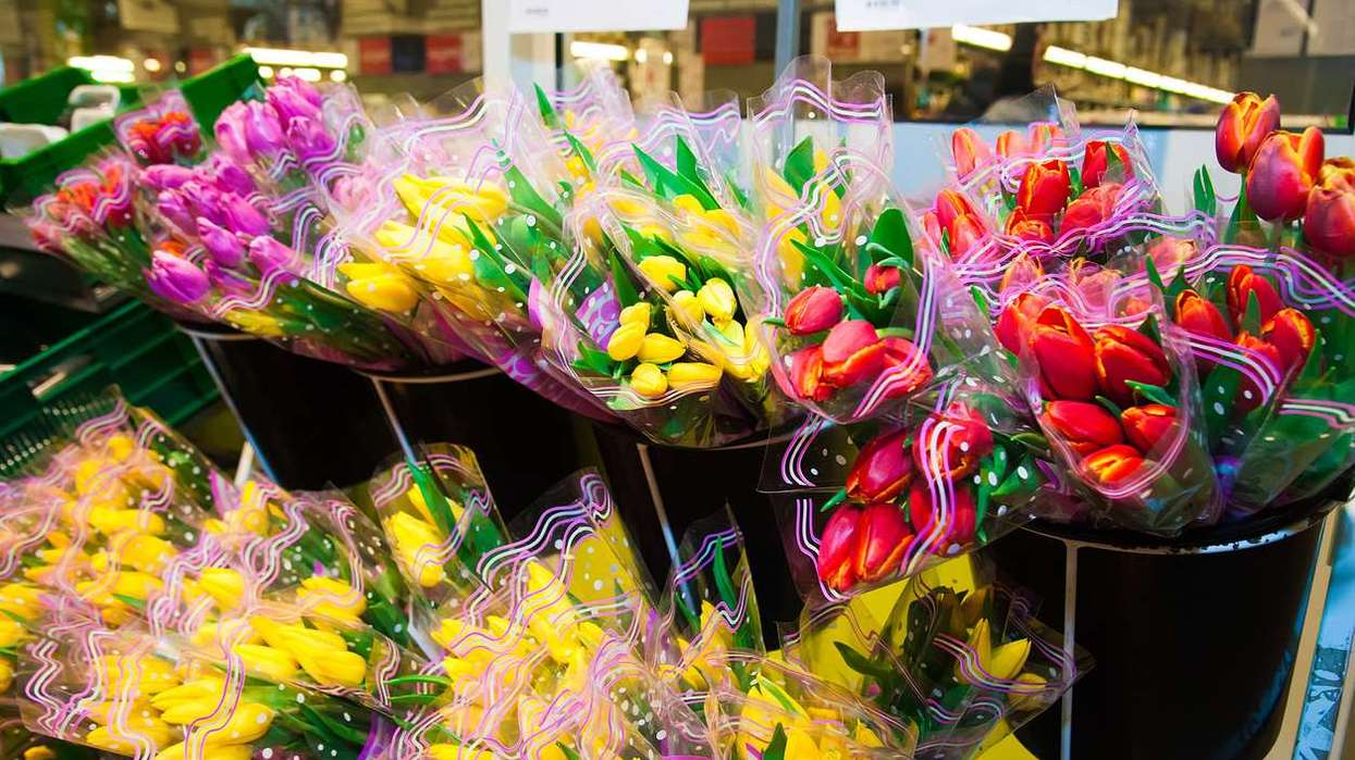 Flowers on sale in a supermarket