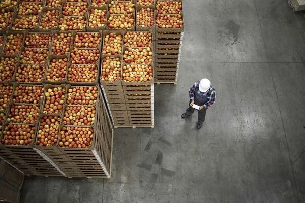 food supply chain