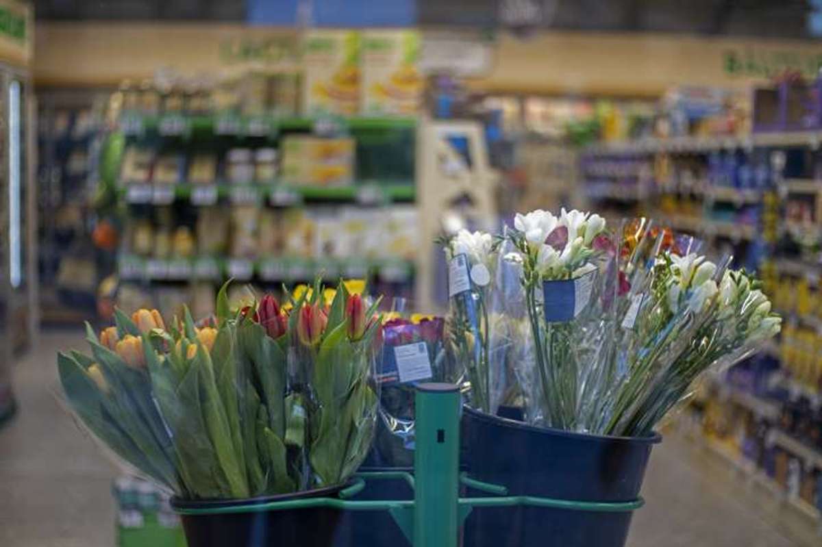 Fresh flowers
