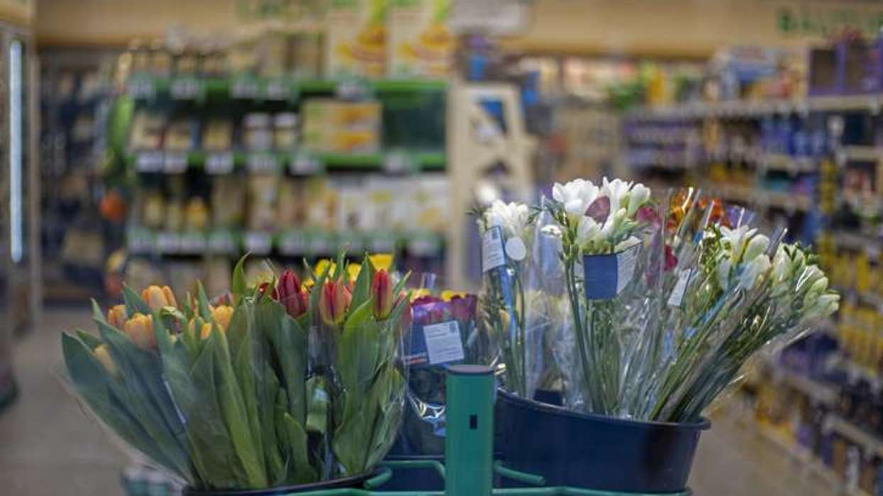 Fresh flowers