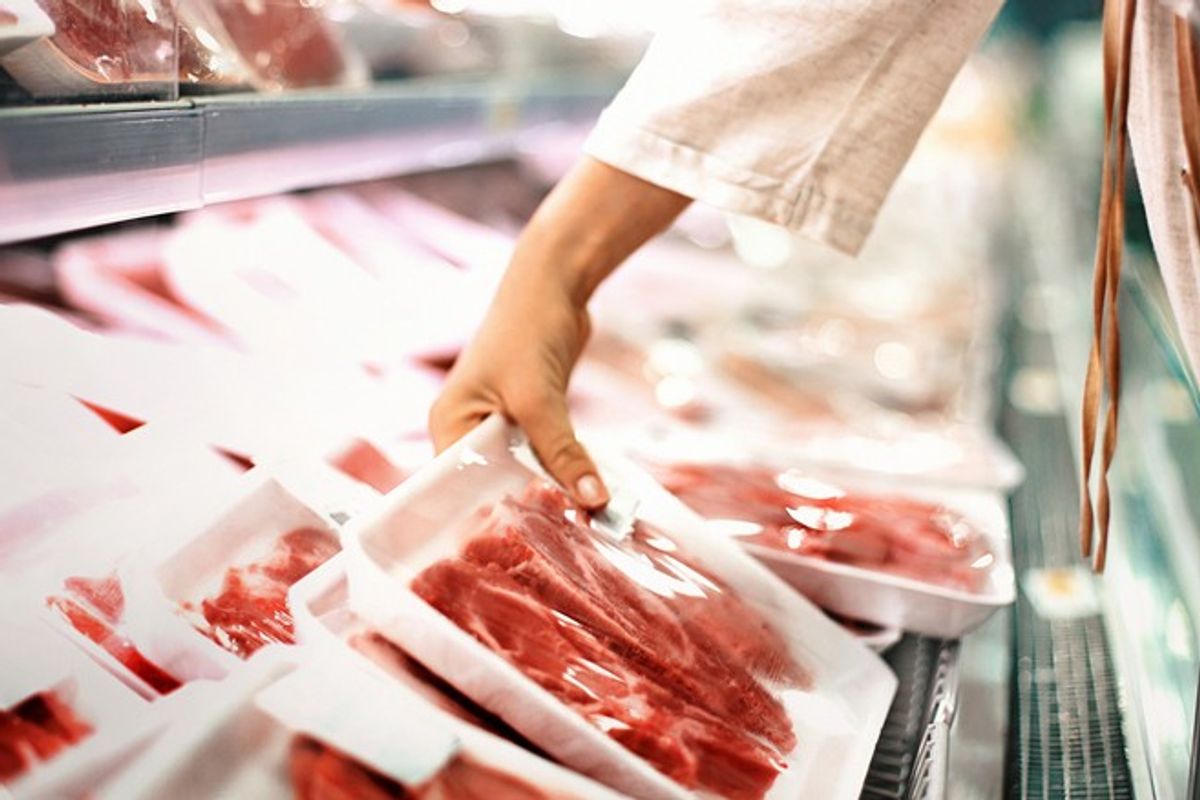 Funding delay threatens UK meat safety