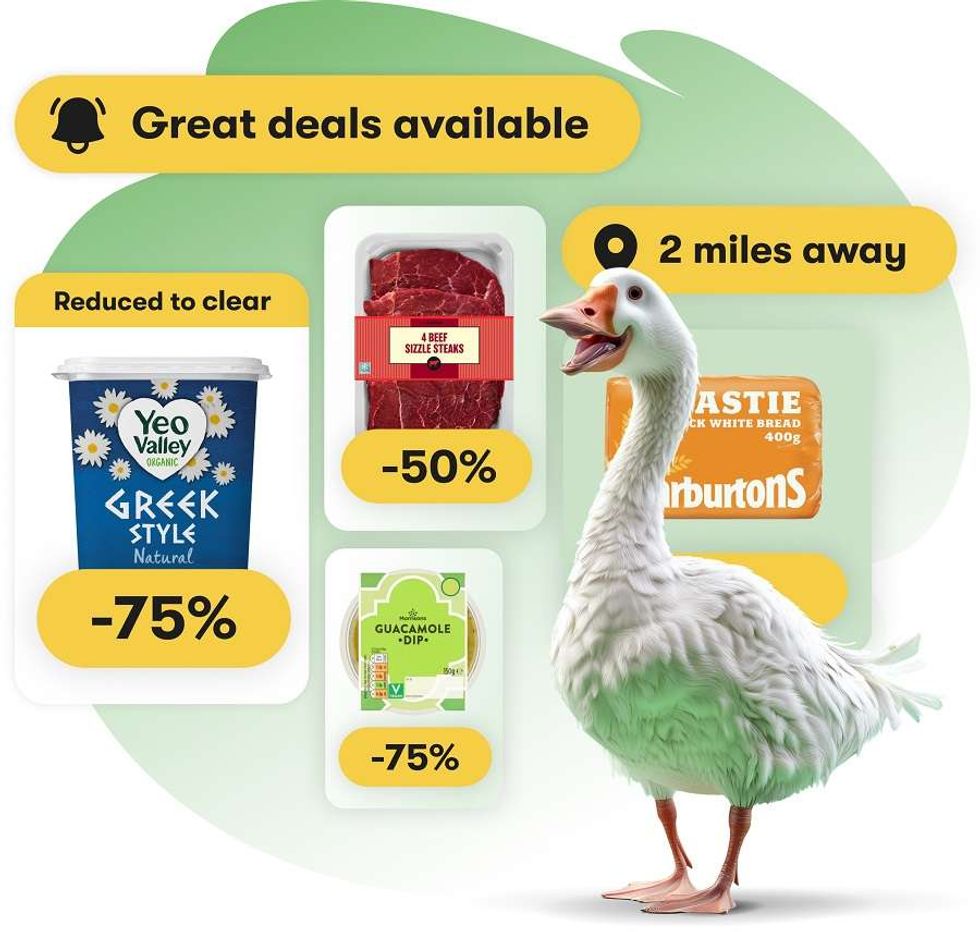 Gander promotion