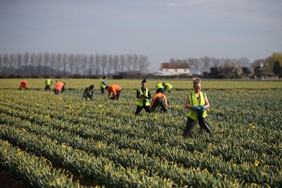 GettyImages 1239214583