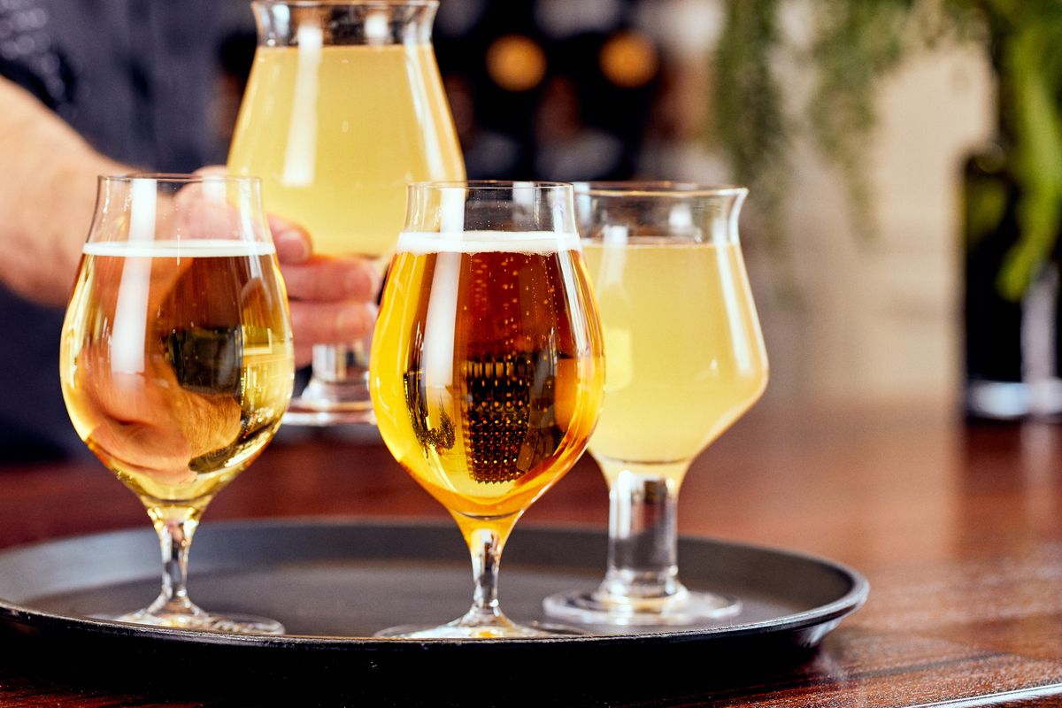 Glasses of chilled cider on a tray in a bar setting, ready to be served during summer season