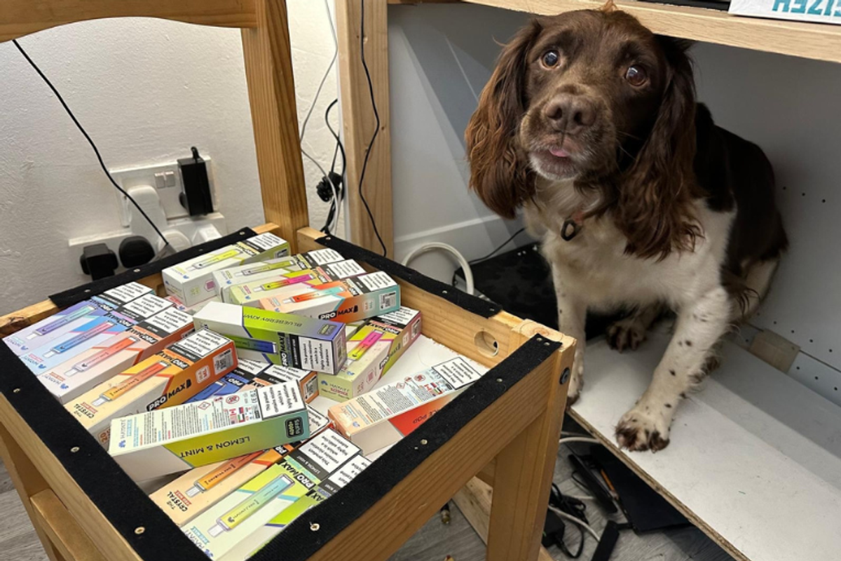 Illegal tobacco and vapes worth £260,000 seized in Walsall