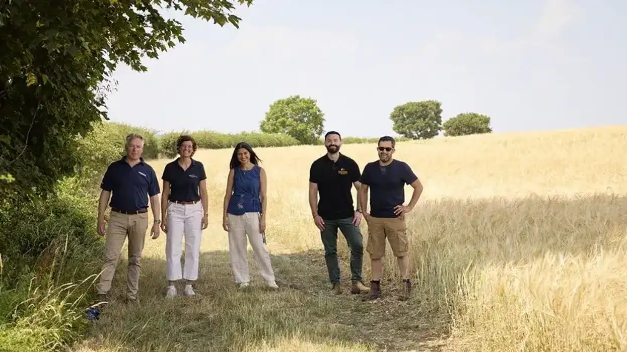 Heineken UK's regenerative malting barley programme