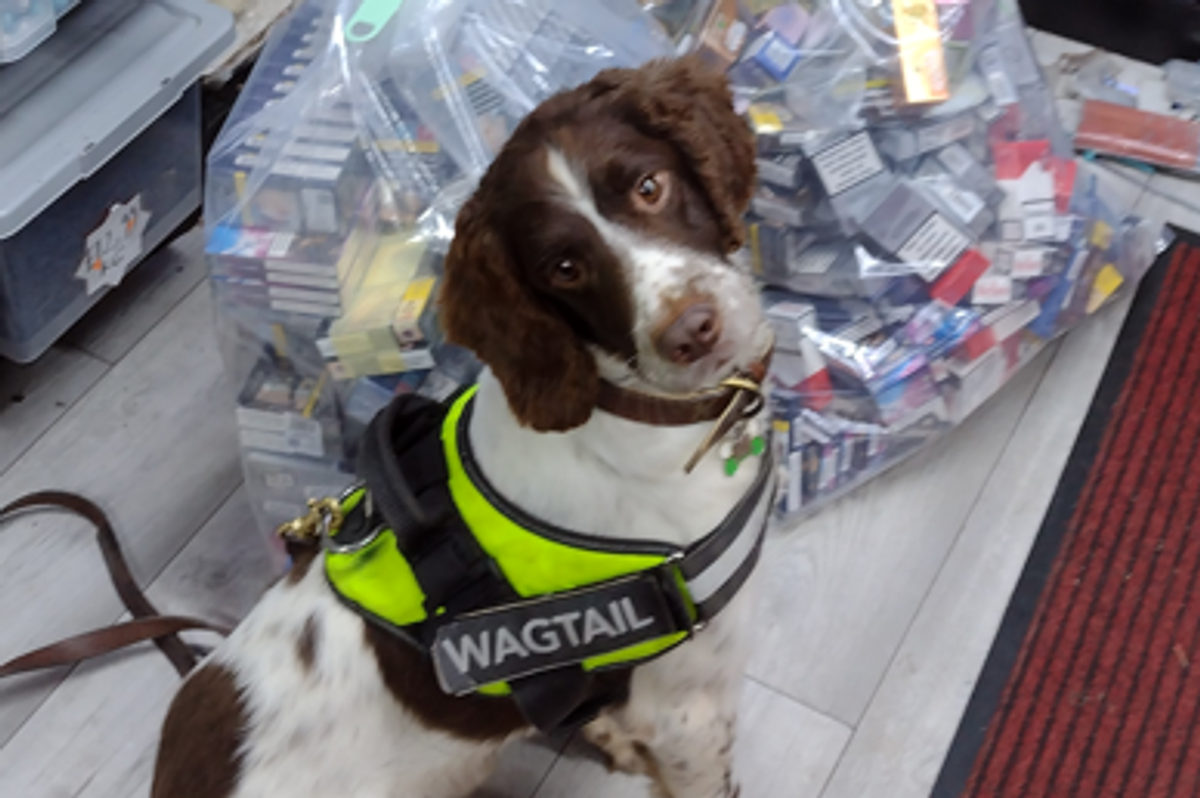 Huge quantities of illegal cigarettes and vapes seized in Oxfordshire