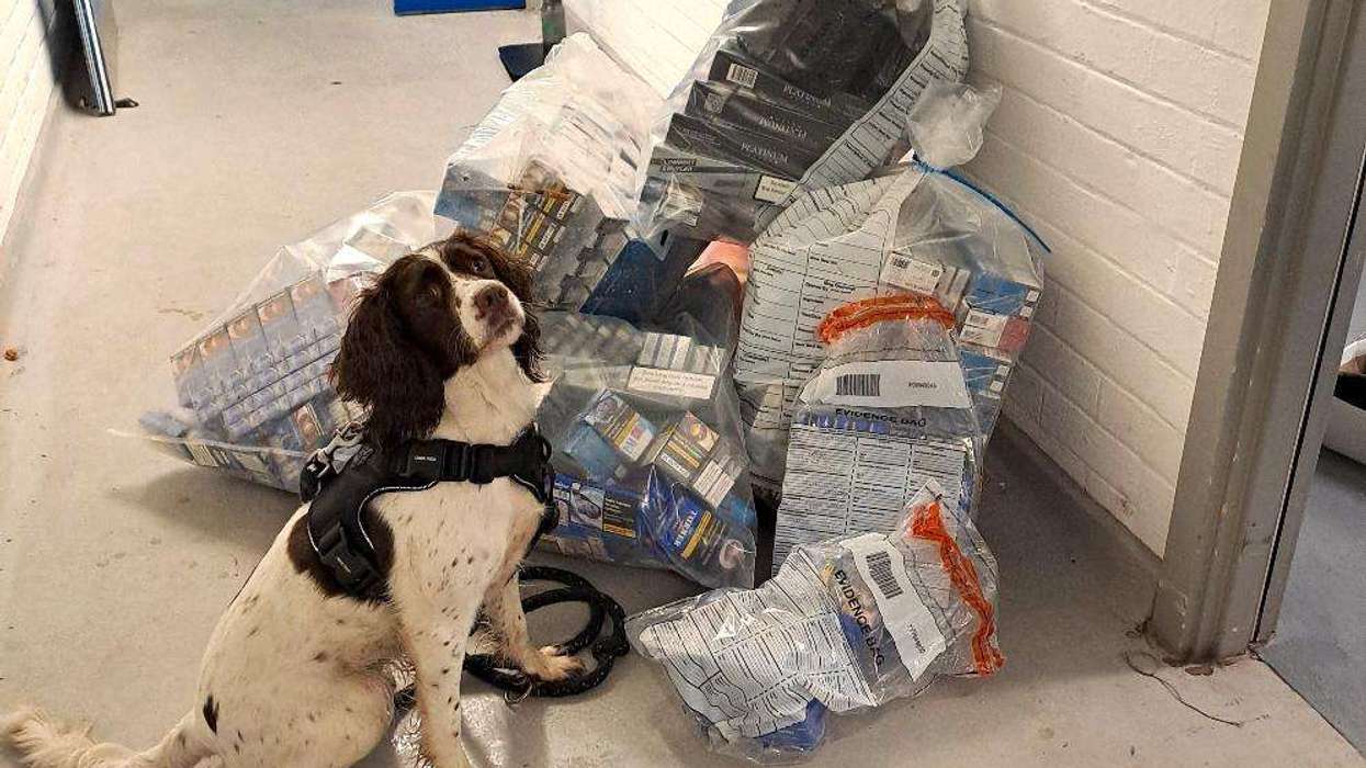 illegal cigarettes seized
