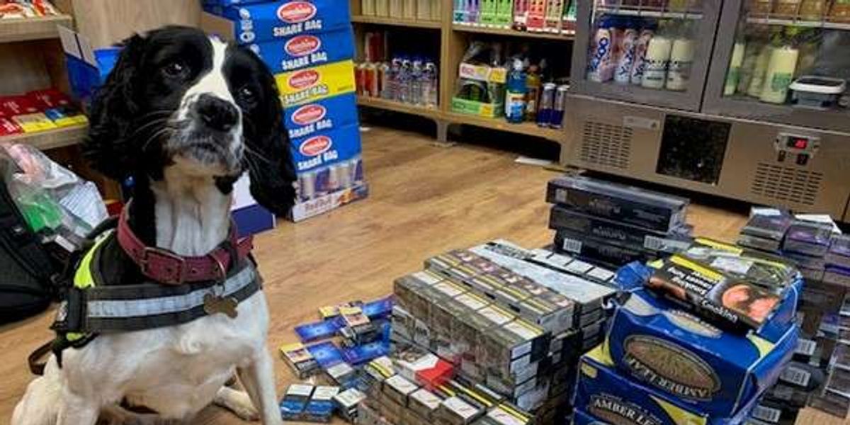 JTI Renews Warning on Illegal Tobacco One Year Into Campaign